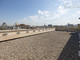 Tiny photo20260529 18888 g1vcn4