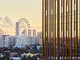 Tiny photo20260824 18888 1e43ov1