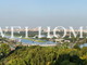 Tiny photo20260825 18888 va9la1