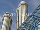 Tiny photo20260901 18888 et9n71