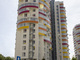 Tiny photo20260903 18888 1macyk5