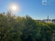 Tiny photo20260925 12568 l07qgj