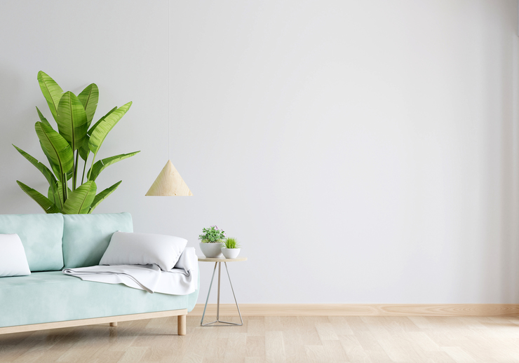 Header green sofa white living room with free space
