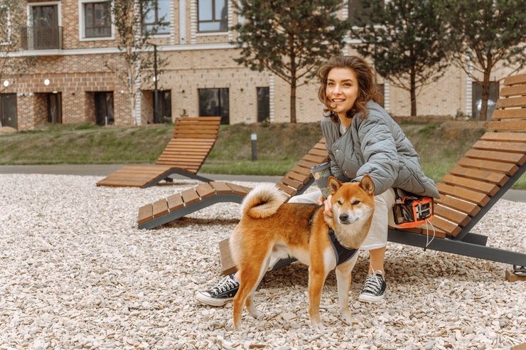 Header %d0%98%d0%b3%d1%80%d0%be%d0%b2%d1%8b%d0%b5 %d0%bf%d0%bb%d0%be%d1%89%d0%b0%d0%b4%d0%ba%d0%b8 %d0%b4%d0%bb%d1%8f %d0%bf%d0%b8%d1%82%d0%be%d0%bc%d1%86%d0%b5%d0%b2 %d0%b2 %d0%a1%d0%b5%d0%bb%d0%b8%d0%b3%d0%b5%d1%80 %d0%a1%d0%b8%d1%82%d0%b8