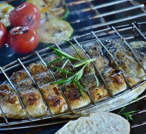 Vertical slider fish 2366925 1280