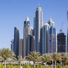 Thumb skyscrapers palm trees dubai uae