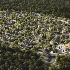 Thumb %d0%9c%d0%b0%d1%81%d0%bb%d0%be%d0%b2%d0%beforest club