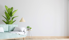 Wide thumb green sofa white living room with free space
