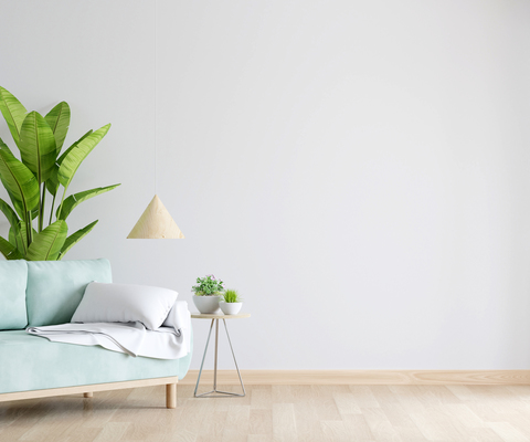 Slider green sofa white living room with free space