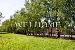 Россия, Московская область, Крекшино д. - Фотография