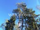 Tiny img 9110 8