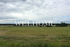 Россия, Московская область, Раменское - Фотография