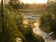 Tiny photo20260501 18888 6mo4r0