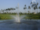 Tiny photo20260501 18888 7hd1oh