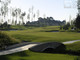 Tiny photo20260501 18888 1v07wbg