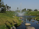 Tiny photo20260501 18888 169ivav