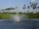 Tiny photo20260501 18888 afp4cg