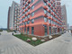 Tiny photo20260529 18888 1kp1uod