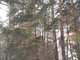 Tiny photo20260529 18888 74ruaa
