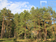 Tiny photo20260529 18888 1hm1n50