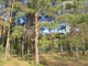 Tiny photo20260529 18888 wr5j03
