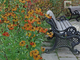 Tiny photo20260529 18888 8q4l8a