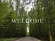 Tiny photo20260603 18888 rlmu3l