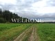 Tiny photo20260603 18888 g3r82s