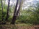 Tiny photo20260603 18888 3gavau