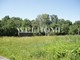 Tiny photo20260603 18888 4cd2qw