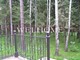 Tiny photo20260801 18888 v5hymj