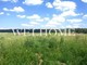 Tiny photo20260802 18888 e543fw