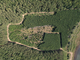 Tiny photo20260807 18888 1h6orbd