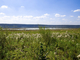 Tiny photo20260807 18888 1n98a0l