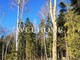 Tiny photo20260821 18888 ivokg1