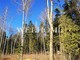 Tiny photo20260825 18888 h6y8u1