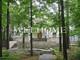 Tiny photo20260901 18888 r7o3z6