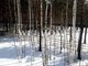 Tiny photo20260901 18888 wvl46j