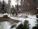 Tiny photo20260901 18888 1vn7hal
