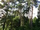 Tiny photo20260901 18888 mi8vb3