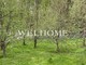 Tiny photo20260901 18888 1kl20vc