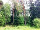Tiny photo20260901 18888 111eeba
