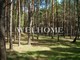 Tiny photo20260901 18888 2c5mrk