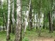 Tiny photo20260901 18888 1gbd0ai