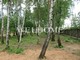 Tiny photo20260901 18888 14rw5tz