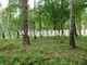 Tiny photo20260901 18888 t7behn
