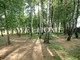 Tiny photo20260901 18888 7vaojc