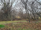 Tiny photo20260901 18888 py54n8