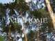 Tiny photo20260902 18888 1imyyz2
